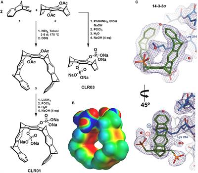 Molecular Lysine Tweezers Counteract Aberrant Protein Aggregation